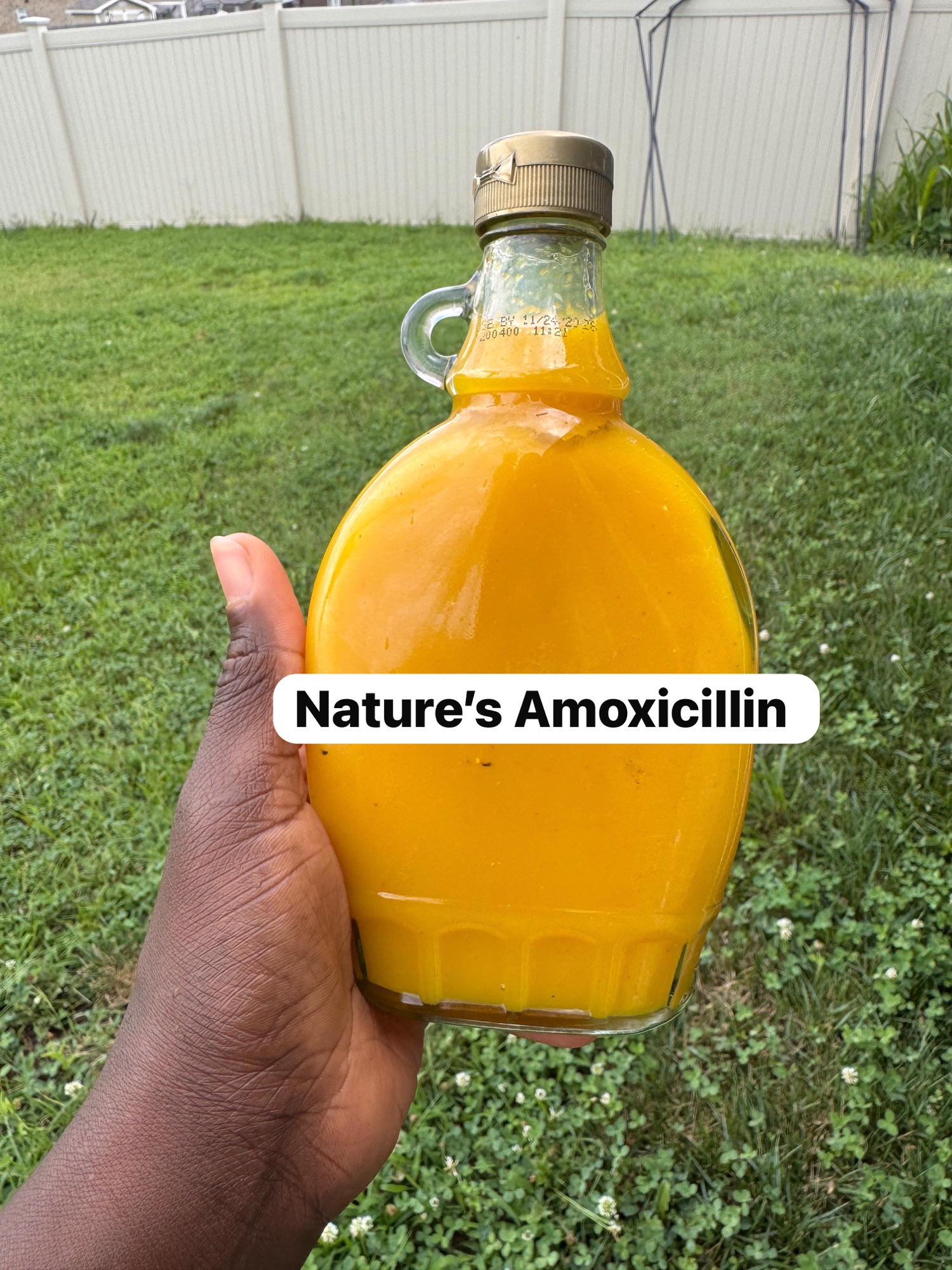 Nature’s Amoxicillin